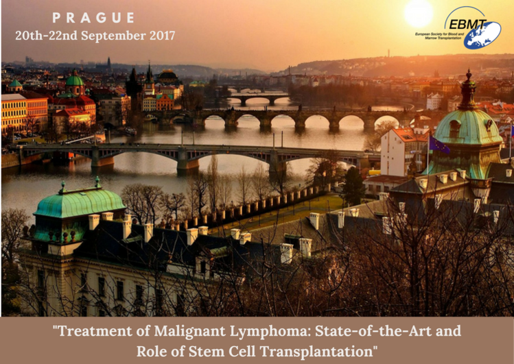 13th Educational Course of the LWP Treatment of Malignant Lymphoma: State-of-the-Art and Role of Stem Cell Transplantation