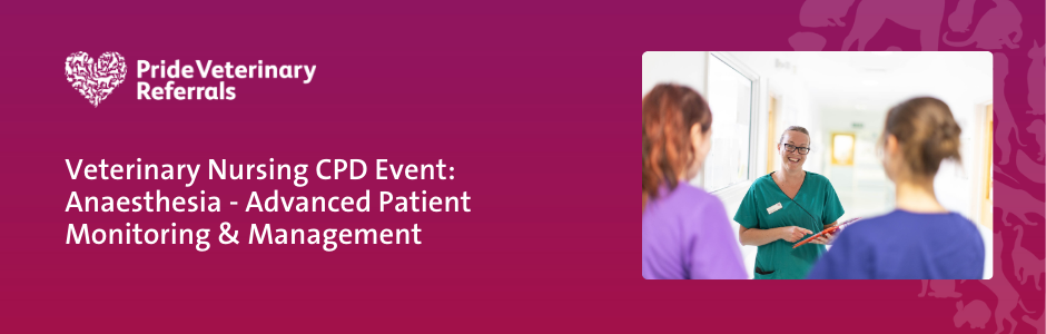 Veterinary Nursing CPD Event: Anaesthesia – Advanced Patient Monitoring and Management 