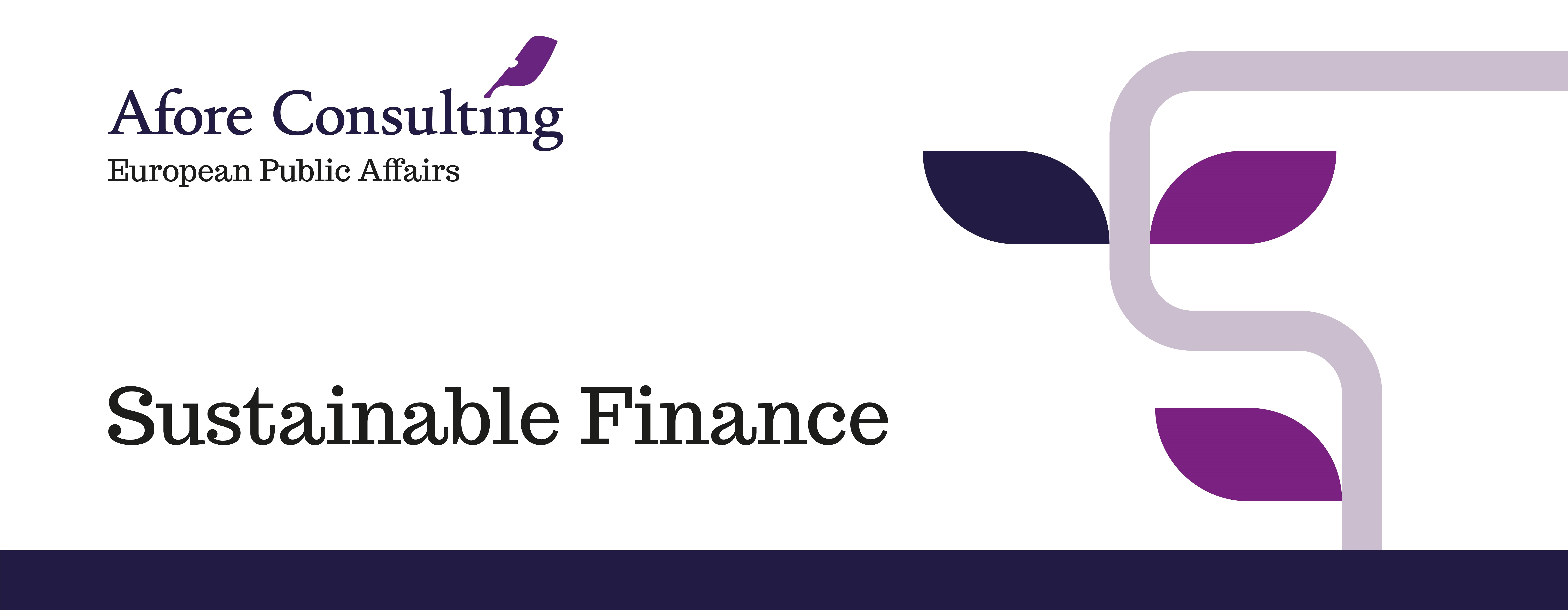 Afore Consulting Sustainable Finance Workshop “Making pathways to the green transition credible- the role of technology and assumptions”  on 13 December 2023