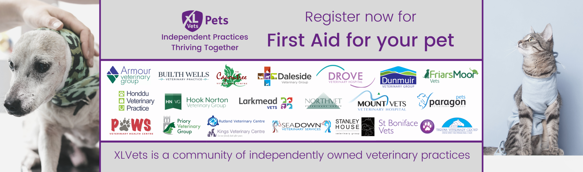 XLVets Small Animal Client Evening - First Aid for your Pet