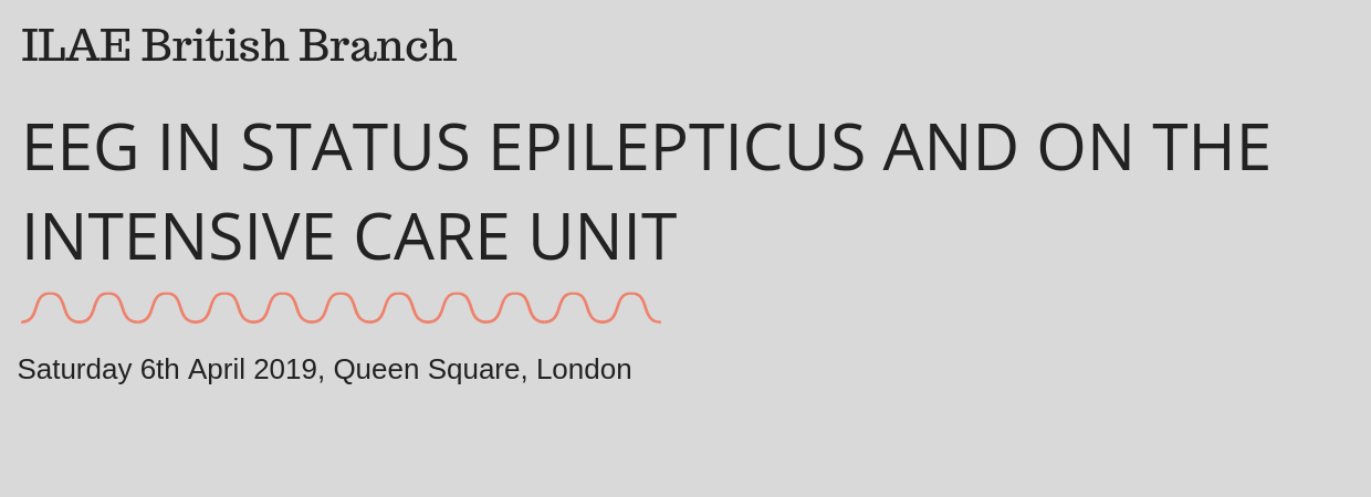 EEG in Status Epilepticus and on the Intensive Care Unit Teaching Course
