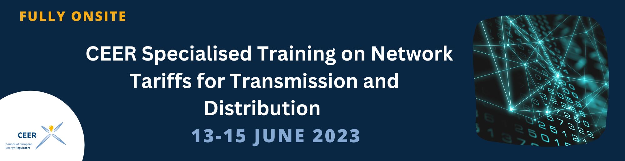 Specialised Training on Network Tariffs for Transmission and Distribution 
