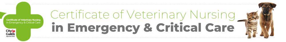 Certificate of Veterinary Nursing in Emergency & Critical Care