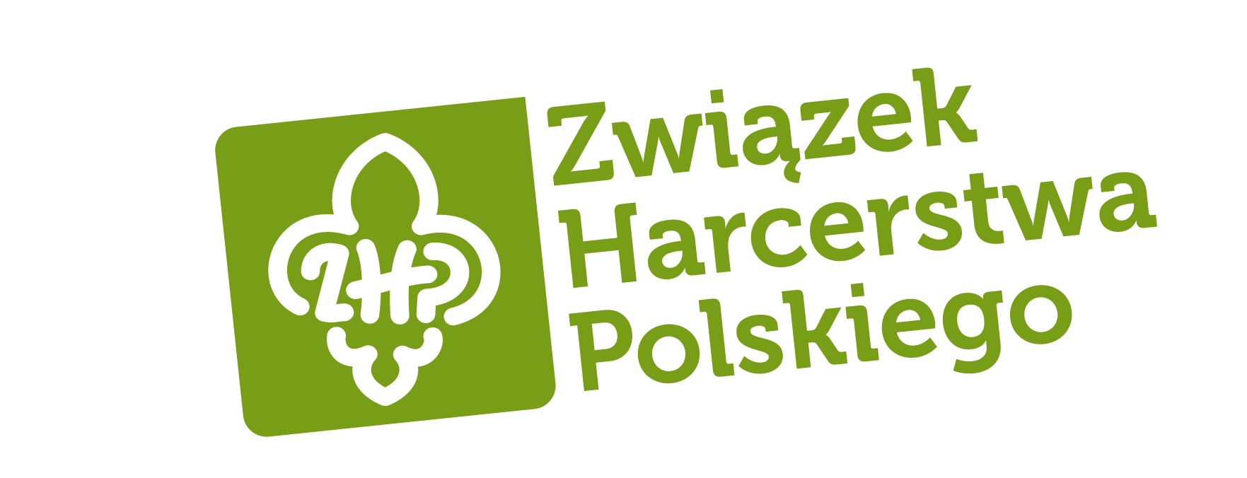 The Polish Scouting and Guiding Association