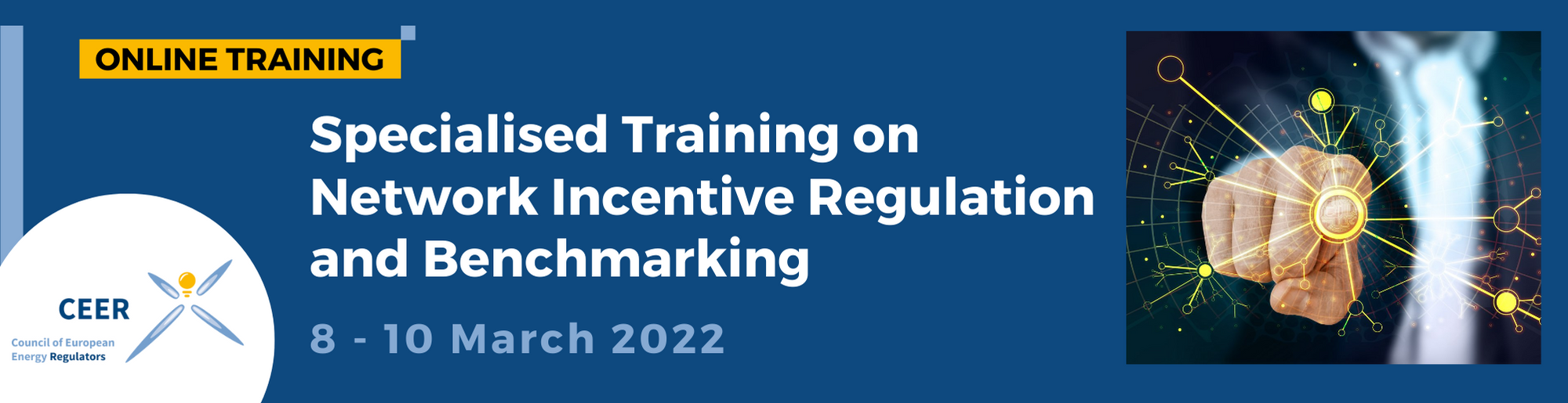 Specialised Training on Network Incentive Regulation and Benchmarking 