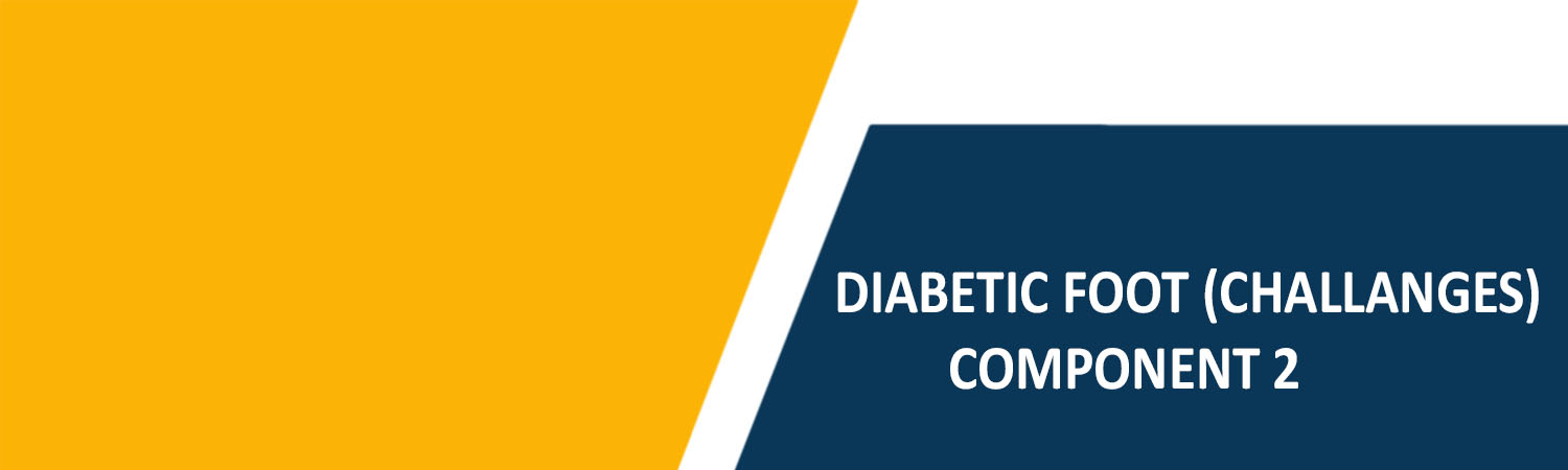 Diabetic Foot Challenges Component 2