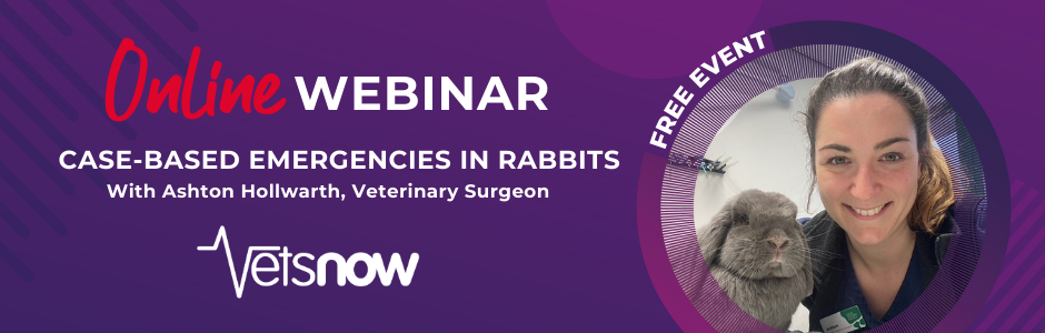 Case-Based Emergencies in Rabbits