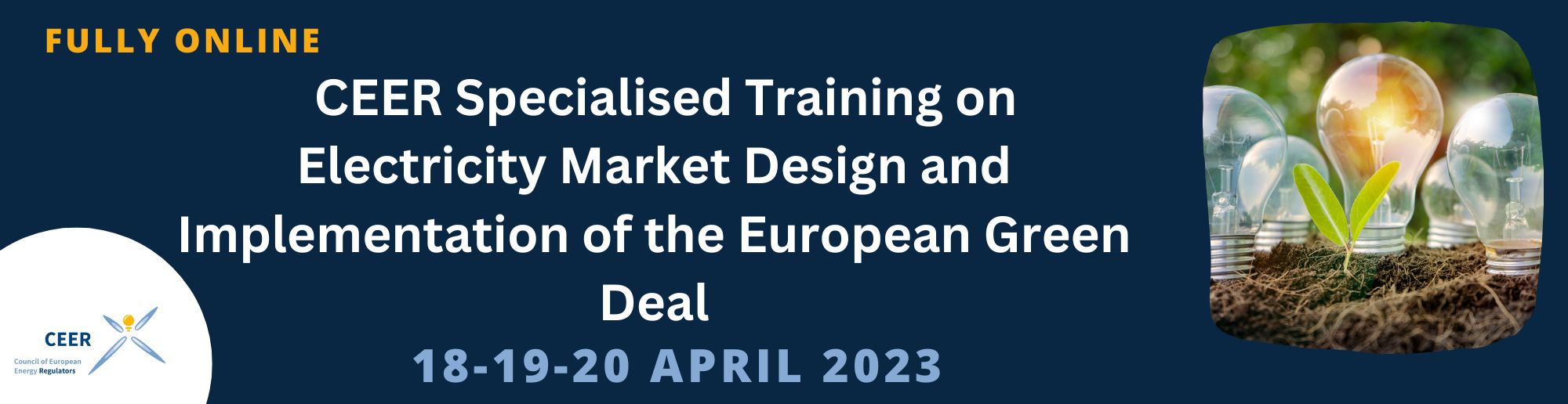 Specialised Training on Electricity Market Design and Implementation of the European Green Deal
